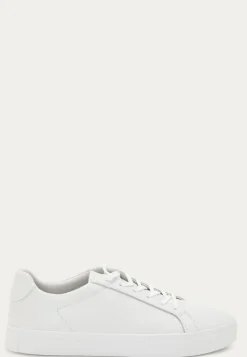 Cody Sneakers