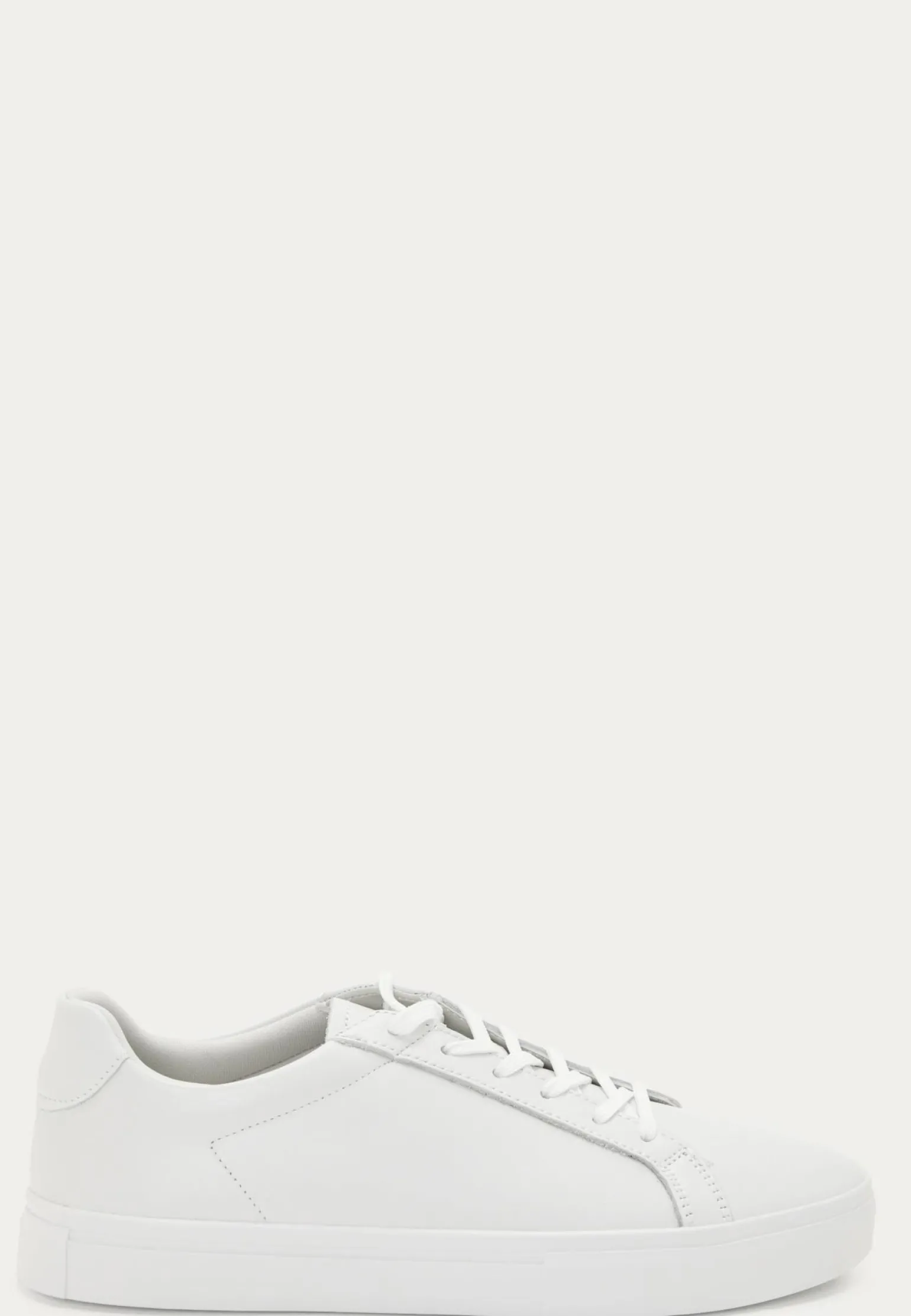 Cody Sneakers