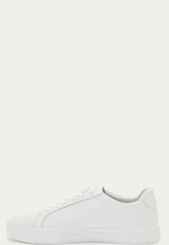 Cody Sneakers