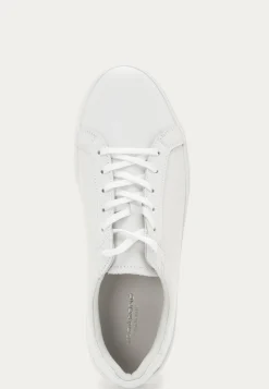 Cody Sneakers