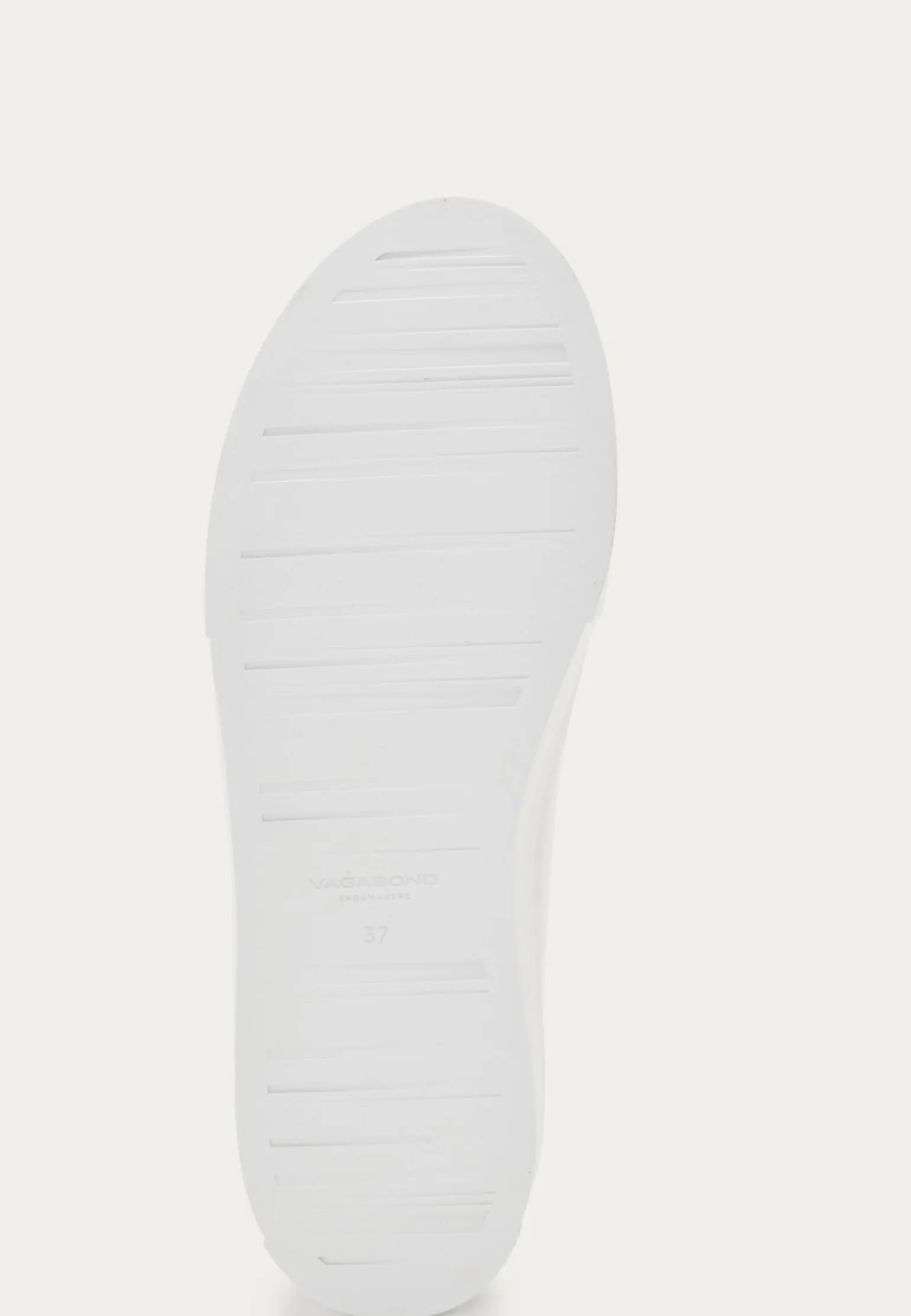 Cody Sneakers