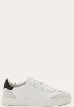 Cody Sneakers