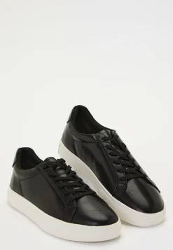 Cody Sneakers