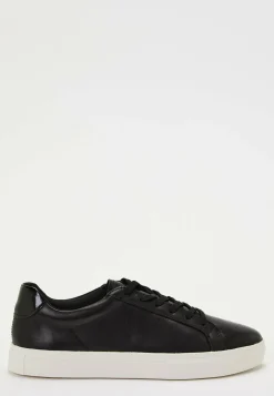 Cody Sneakers