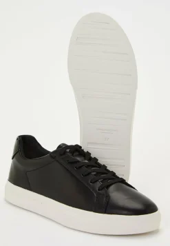 Cody Sneakers