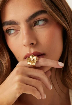 Daisy Ring Celebration